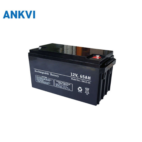 12V 65AH Rechargeable Battery VRLA AGM 20.3kg 6.5mΩ Internal Resistance for Telecom Equipment