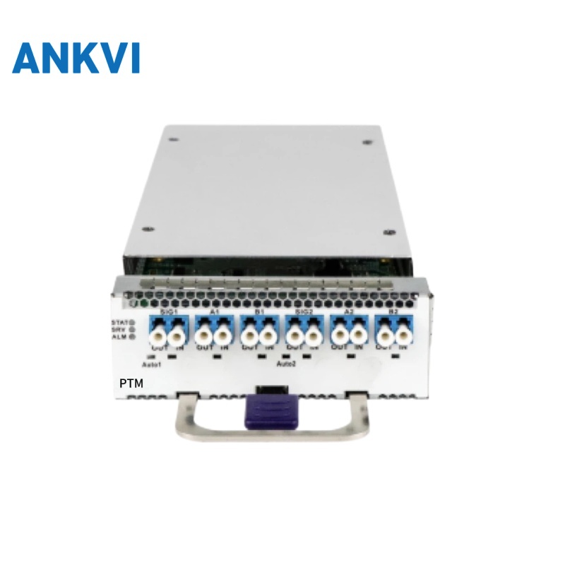 PTM Card, front view of the time synchronisation card with a row of LC adapters and lever
